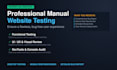 do professional manual website testing