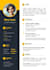 do professional cv writting