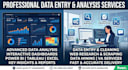 do professional data analysis excel data entry and dashboards