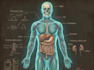create ai powered medical 3d animation 3d anatomy visualization explainer video