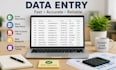 professional data entry and excel expert