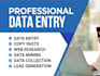 do accurate data entry copy paste pdf to word and excel