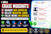 erase mugshots remove bad articles delete negative links false news on google