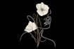 draw linework tattoo design or minimalist tattoo