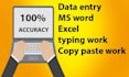 do professional data entry and excel data formatting