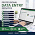 do accurate data entry, excel, copy paste and product listing