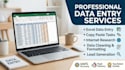 do professional data entry web research and copy paste