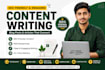 write SEO friendly blog posts and articles