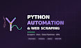 build a python web scraper or automation script for you