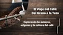 write copy and design professional canva presentations
