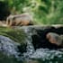 guide you through meditation