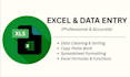 do professional excel data entry, data cleaning and formatting