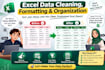 excel data cleaning, formatting and organization