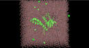run gromacs molecular dynamics simulation for your protein