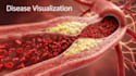create professional ai medical explainer and anatomy animations
