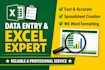 do accurate data entry excel copy paste and web research