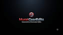 do professional gaming and automotive video editing