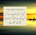 write custom urdu poetry and sad shayari