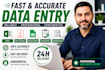 data entry excel expert