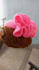 custom crochet and plushies