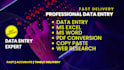 do excel data entry, PDF to word, excel and word formatting