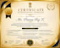 source, prepare tender documents,and help with eligibility in any field