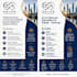 translate documents and resumes
