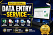 do accurate  excel data entry, PDF to excel, copy paste