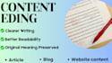 copy edit your blog posts article and website content