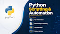 write custom python scripts for automation and data parsing