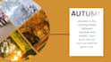 design professional infographic posters in canva