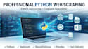 create a professional python web scraping script