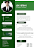 create a professional CV resume design