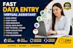 do CRM data entry, excel spreadsheet and web research