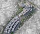 transform urban planning masterplan smart city layout 3d aerial site plan render