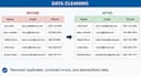 meticulously enter your data and ensure accuracy
