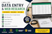 do data entry copy paste data cleaning