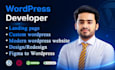 do high converting professional landing page using wordpress and elementor pro
