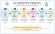 design educational infographics, study guides and worksheets