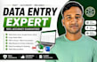 do data entry, copy paste, data scraping, email leads, pdf to excel data entry