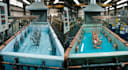 design your zinc and copper plating line