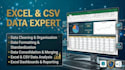 clean, organise, format and analyse your excel or CSV data