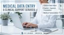 do medical data entry, bilingual transcription, and translation