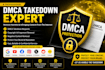 takedown remove delete reports,google,instagram,youtube,facebook,tiktok dmca