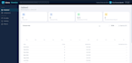 build a custom web system or landing page with fast delivery