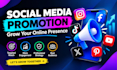 do an organic social media promotion and audience growth