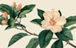 create flat landscape illustration of nature