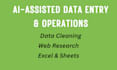 do ai assisted data entry, data cleaning, and web research