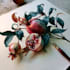 illustrate best botanical illustration
