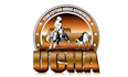make vibrant exceptional horse association logo for you